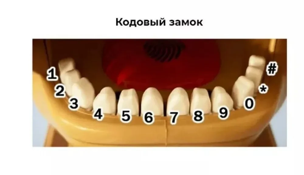 Копилка для денег "Собака" Sebar, 14х18 см, 1 шт