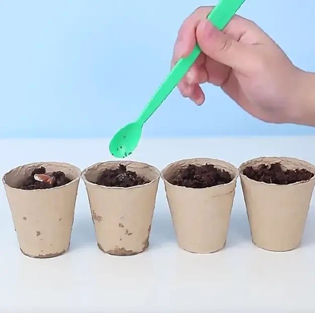 Набор для опытов домашняя теплица Home made plant Игровой набор теплица для выращивания растений с семенами