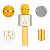 УЦІНКА! Мікрофон WSTER WS-858 Bluetooth USB AUX FM GOLD (Плохе паковання, іржа на корпусі 3172)