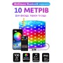 Вуличні вогні 10 м Smart Bluetooth App Control — світлодіодна LED гірлянда 100 LED, RGB, USB, IP65, музична