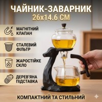 Чайник-заварник із магнітним дозатором 300 мл і фільтром із неіржавкої сталі H1212