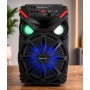 Акустическая система LiGE-1717 аккумулятор Bluetooth с микрофоном 12″ 25Вт | Беспроводная аудиосистема