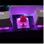 Проводная клавиатура от USB, с RGB подсветкой, XSTRIKE X-1010 / Механическая клавиатура для компьютера