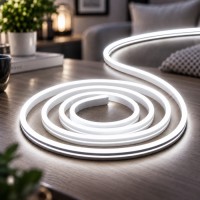 Силиконовая лента от USB 2M / NEON светодиодная лента / Водонепроницаемая лента неон Белый холодный