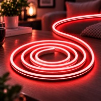 Силиконовая лента от USB 2M / NEON светодиодная лента / Водонепроницаемая лента неон Красный