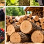 Акумуляторна ланцюгова пила Electric SAW 40-8 48 В із шиною 16 дюймів, двома акумуляторами та двома зарядними пристроями